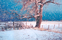 Winter in Ranchos de Taos, New Mexico 5 x 7 greeting card