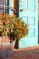 At Old Town Albuquerque 5x7 greeting card