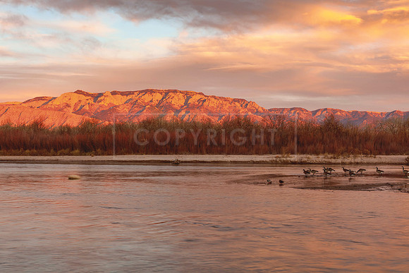 Rio Grande & Sandias at sunset 5 x 7 greeting card