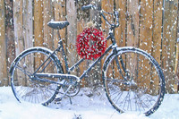 An old bike by a shed wall... 5 x 7 greeting card