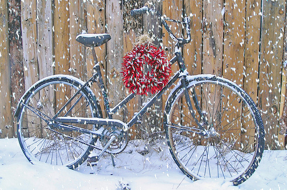 An old bike by a shed wall... 5 x 7 greeting card